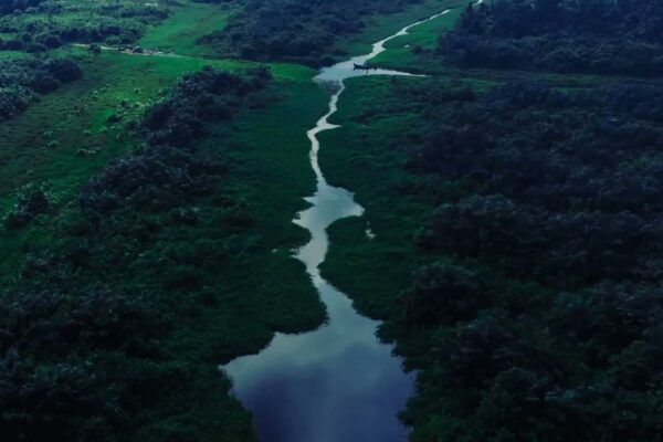 Epe Mangroves Tour