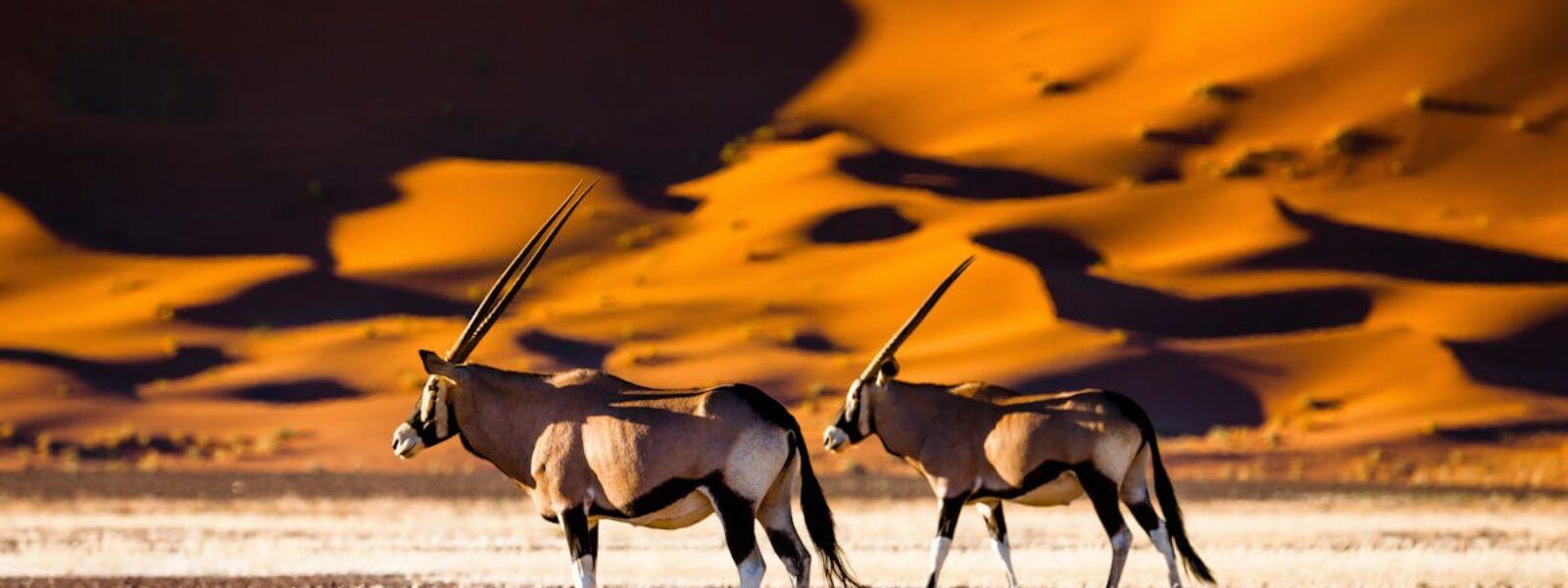 Namibia