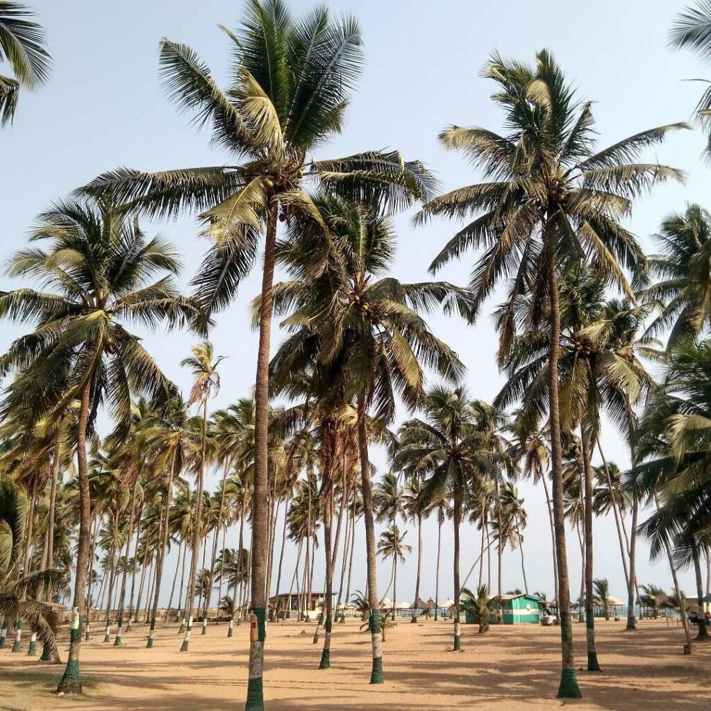 Suntan Beach in Badagry aka Badagry Coconut Beach.