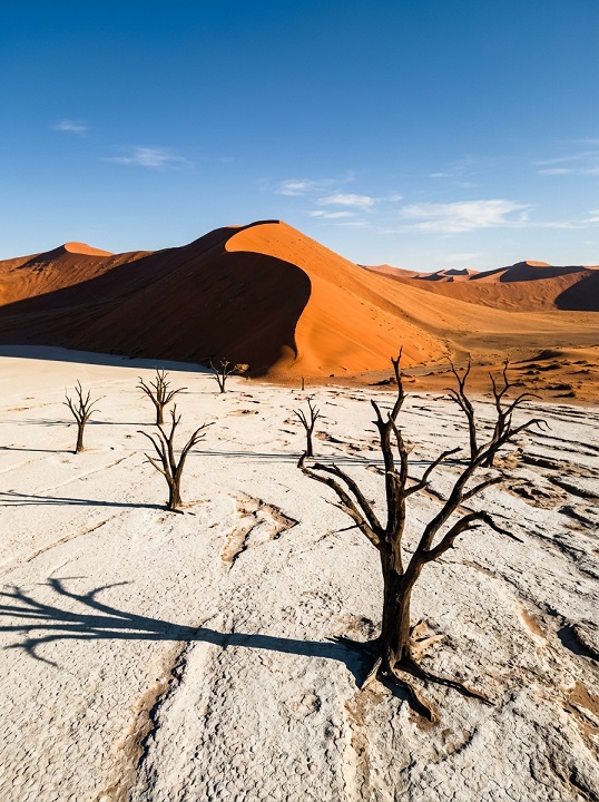 Orange sand dune in Namibia