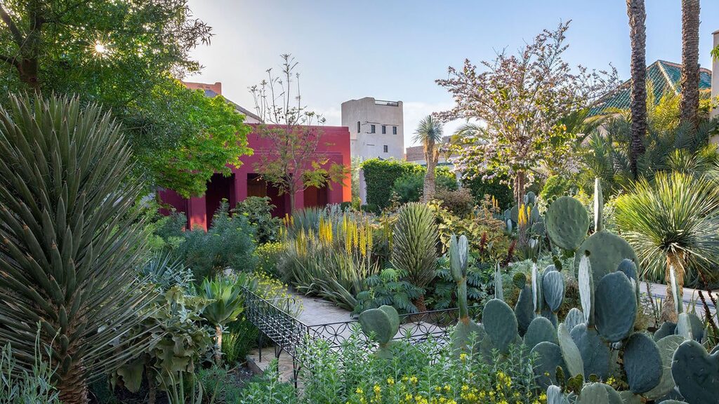 Flowers and plant species at Le Jardin Secret in Marrakech