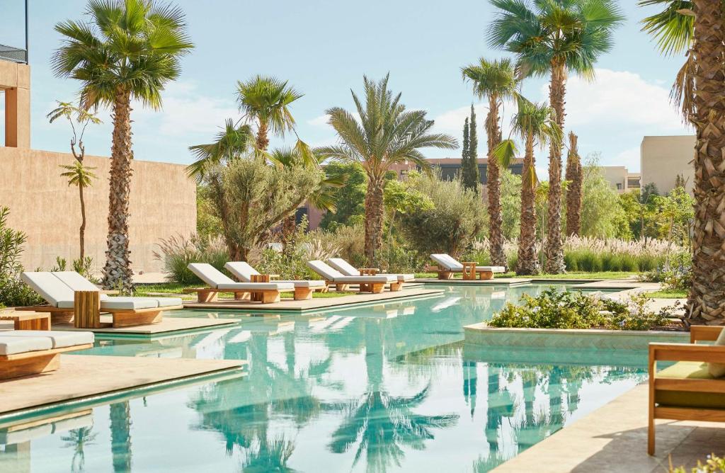 Olive palms at the pool area and sun loungers at Park Hyatt in Marrakech