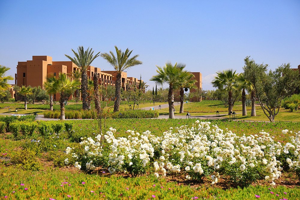 A garden and palm grove at Aqua Mirage Club in Marrakech